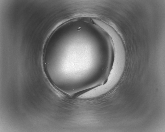 X0000070231187200606091709