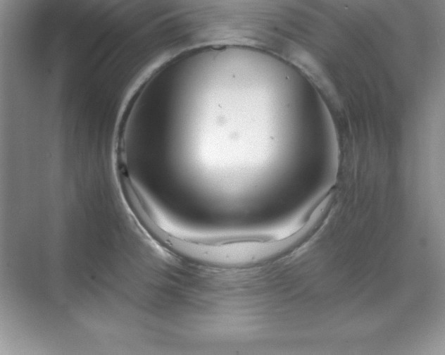 X0000070231188200606091709