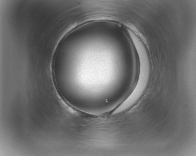 X0000070231189200606091709