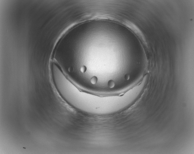 X0000070231190200606091709