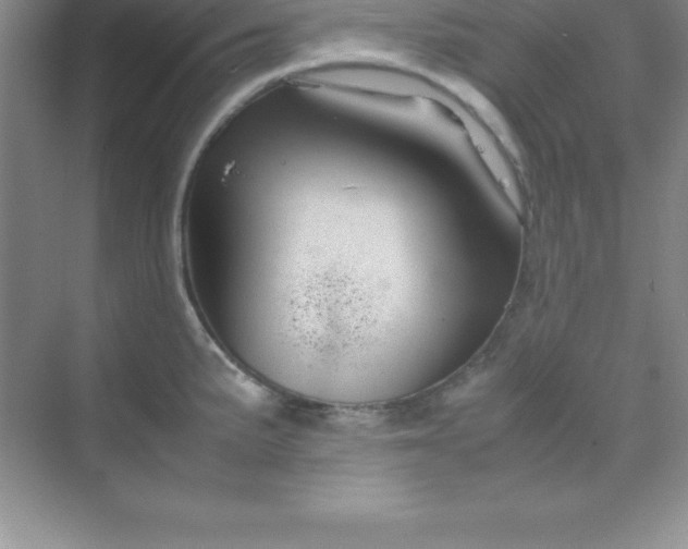 X0000070231191200606091709