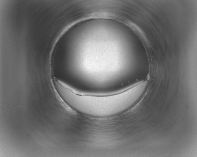 X0000070231192200606091709