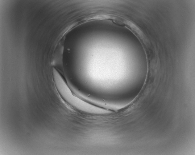 X0000070231193200606091709