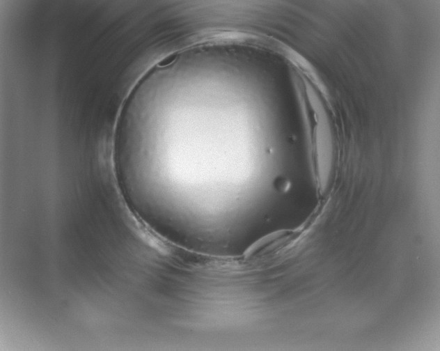 X0000070231194200606091709