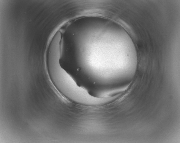 X0000070231196200606091709