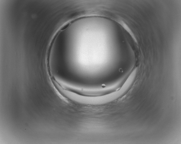 X0000070231197200606091709