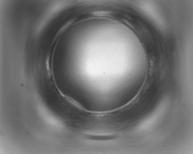 X0000070231198200606091709