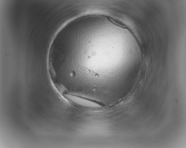 X0000070231199200606091709