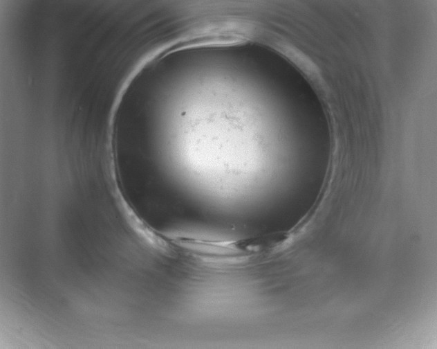 X0000070231200200606091709