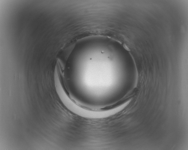 X0000070231202200606091708