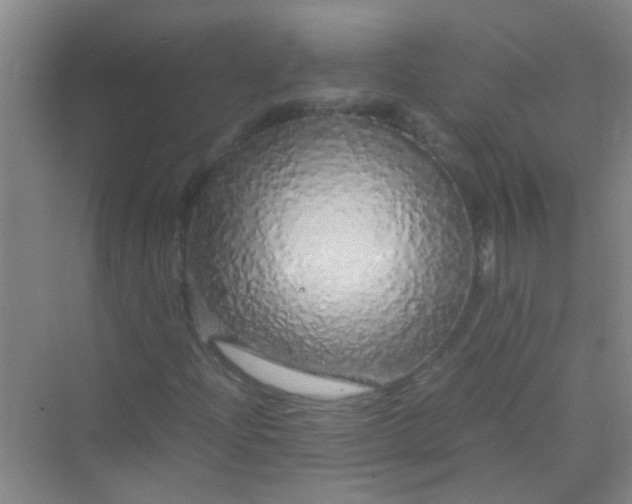 X0000070231204200606091708