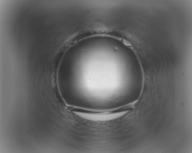 X0000070231205200606091708