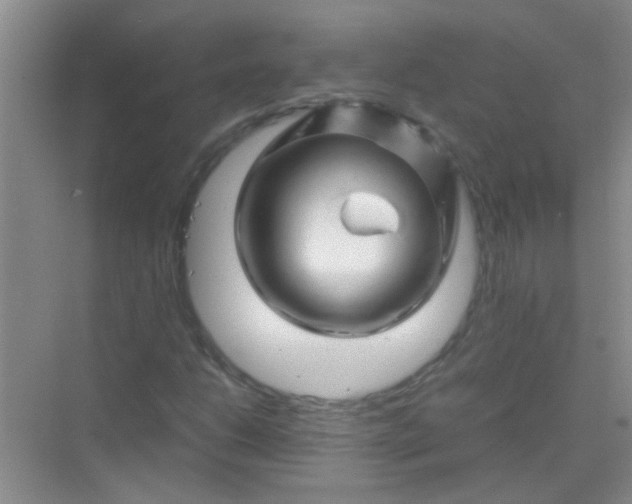 X0000070231206200606091708