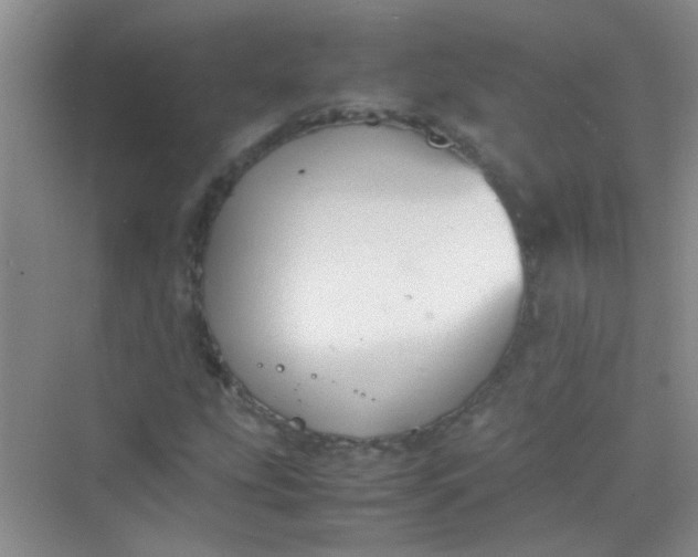 X0000070231207200606091708