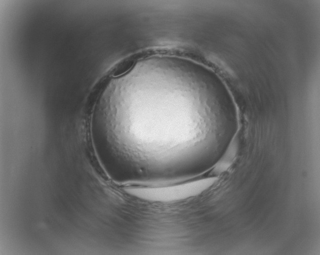 X0000070231208200606091708