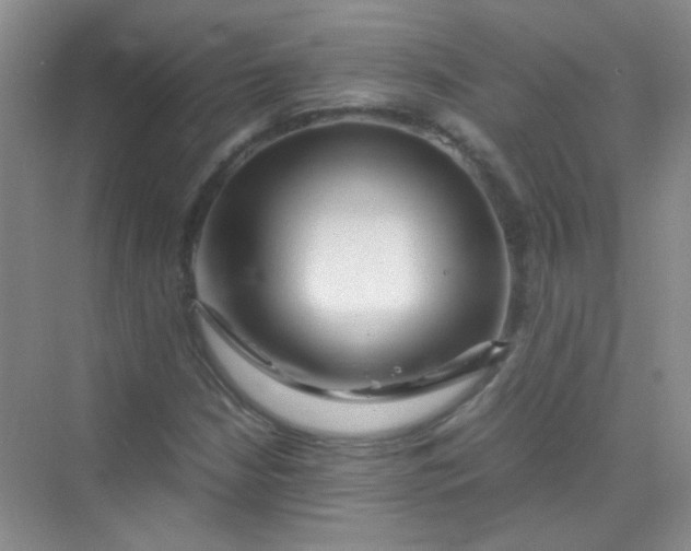 X0000070231210200606091708