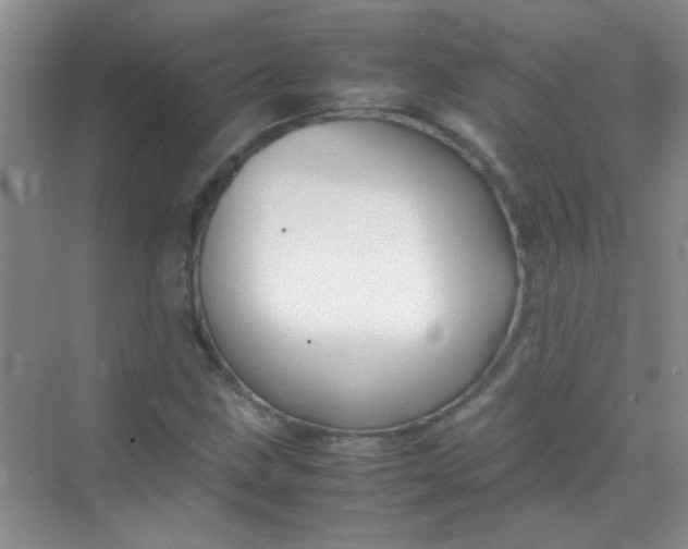 X0000070231211200606091708