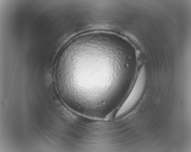 X0000070231212200606091708