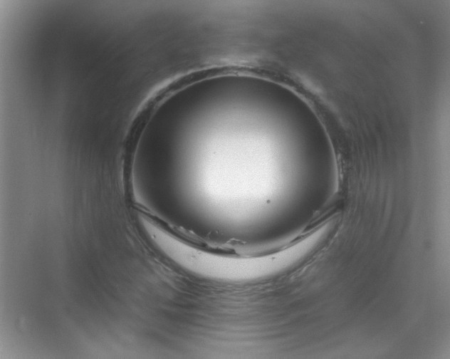 X0000070231214200606091708