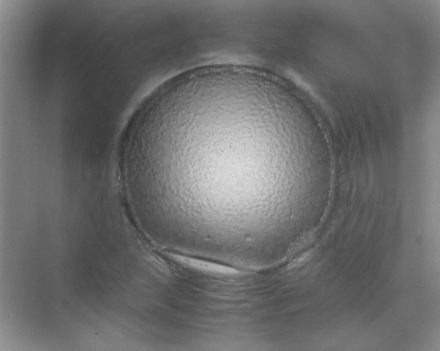 X0000070231215200606091708