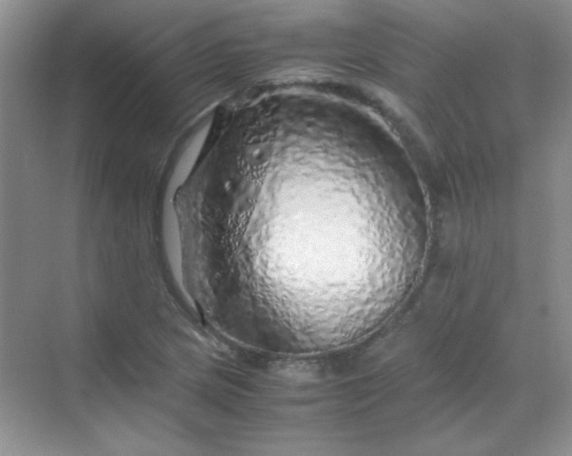 X0000070231217200606091708