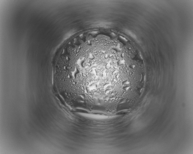 X0000070231219200606091708