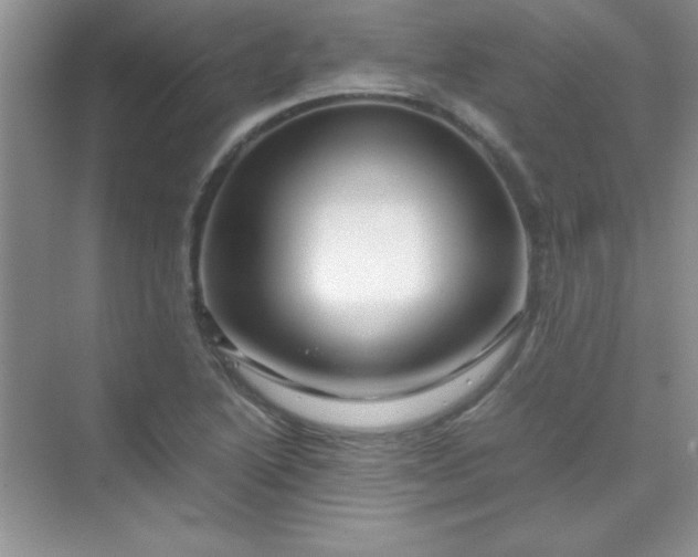 X0000070231222200606091708