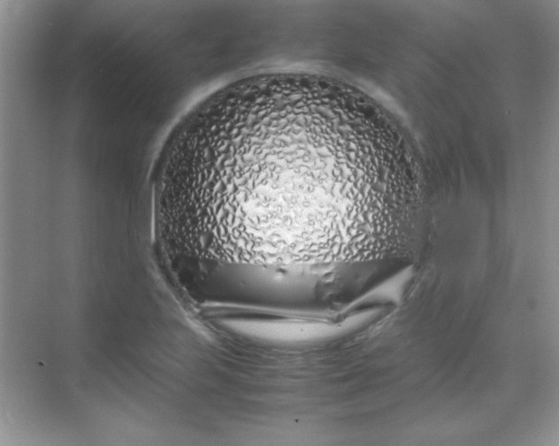 X0000070231223200606091708