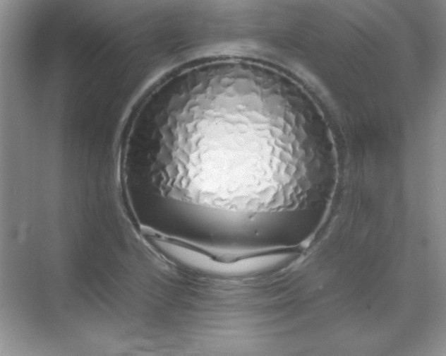 X0000070231224200606091708