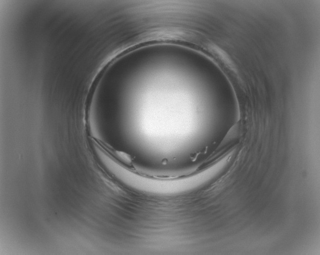 X0000070231226200606091708