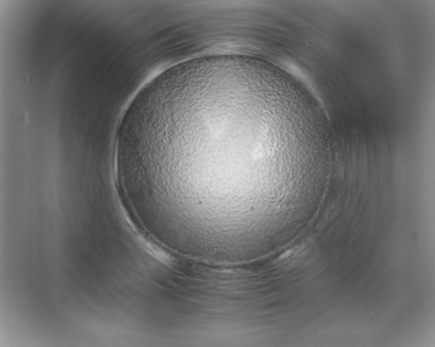 X0000070231227200606091708