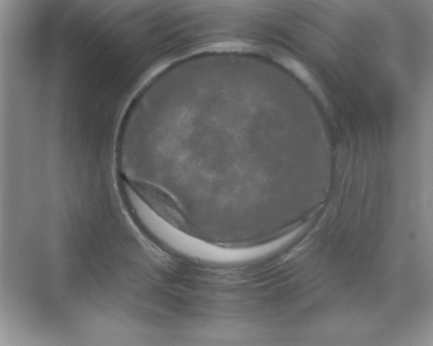 X0000070231229200606091708