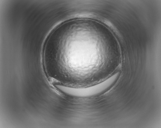 X0000070231232200606091708