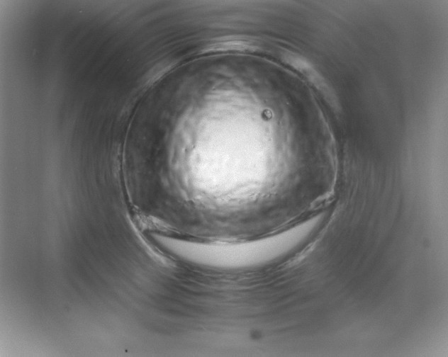 X0000070231233200606091708