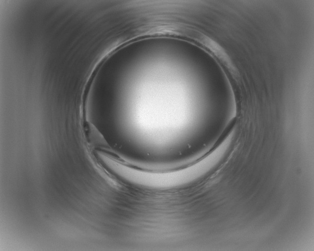 X0000070231234200606091708