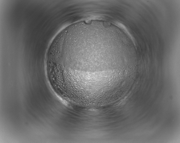 X0000070231235200606091708