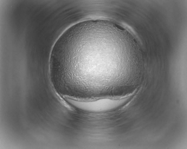 X0000070231236200606091708