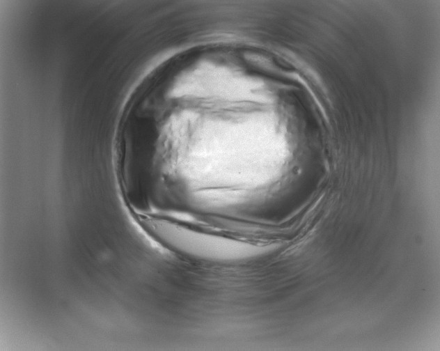 X0000070231239200606091709