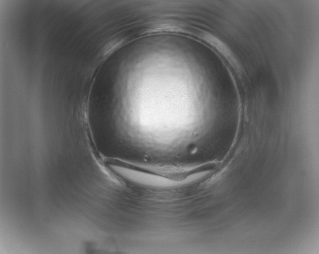 X0000070231241200606091709