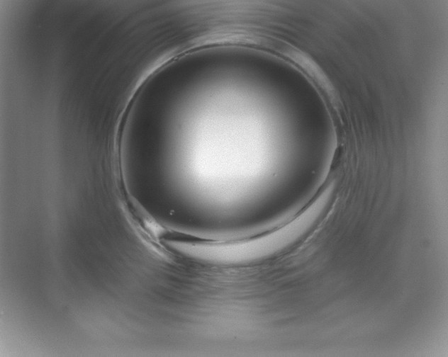 X0000070231242200606091709