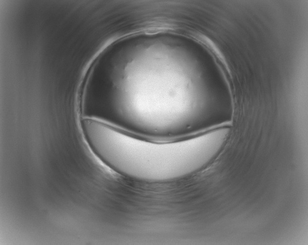 X0000070231243200606091709