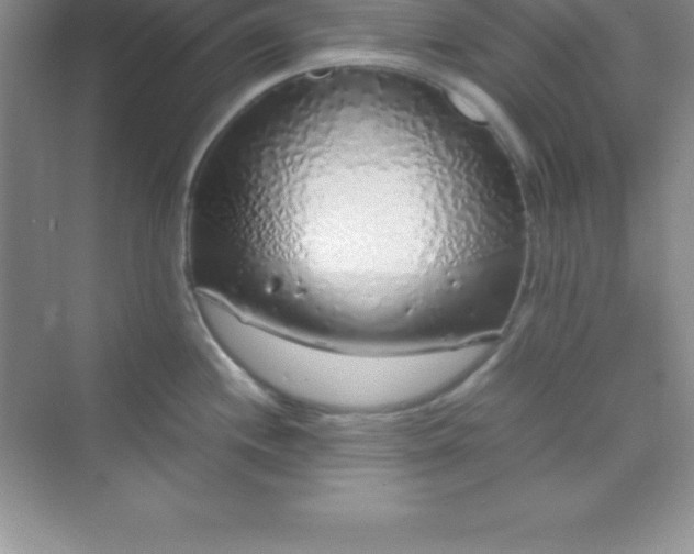 X0000070231244200606091709