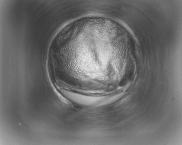 X0000070231245200606091709