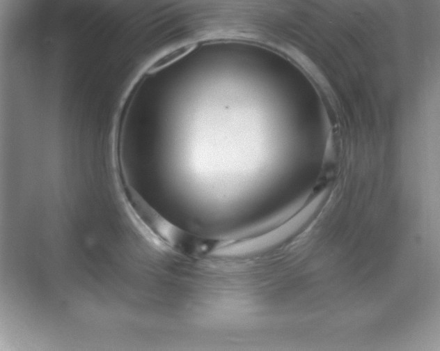 X0000070231246200606091709