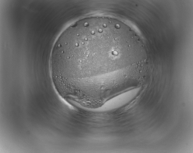 X0000070231247200606091709