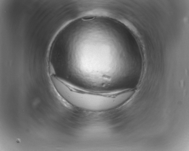 X0000070231248200606091709