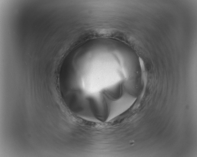 X0000070231249200606091708