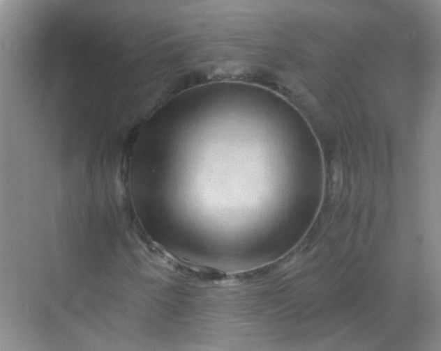 X0000070231250200606091708