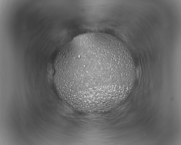 X0000070231251200606091708