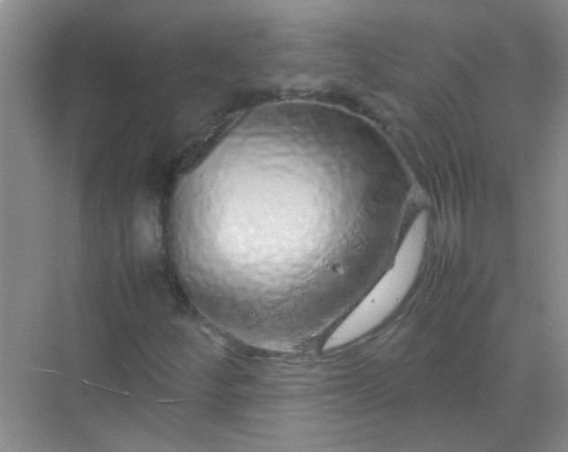 X0000070231252200606091708